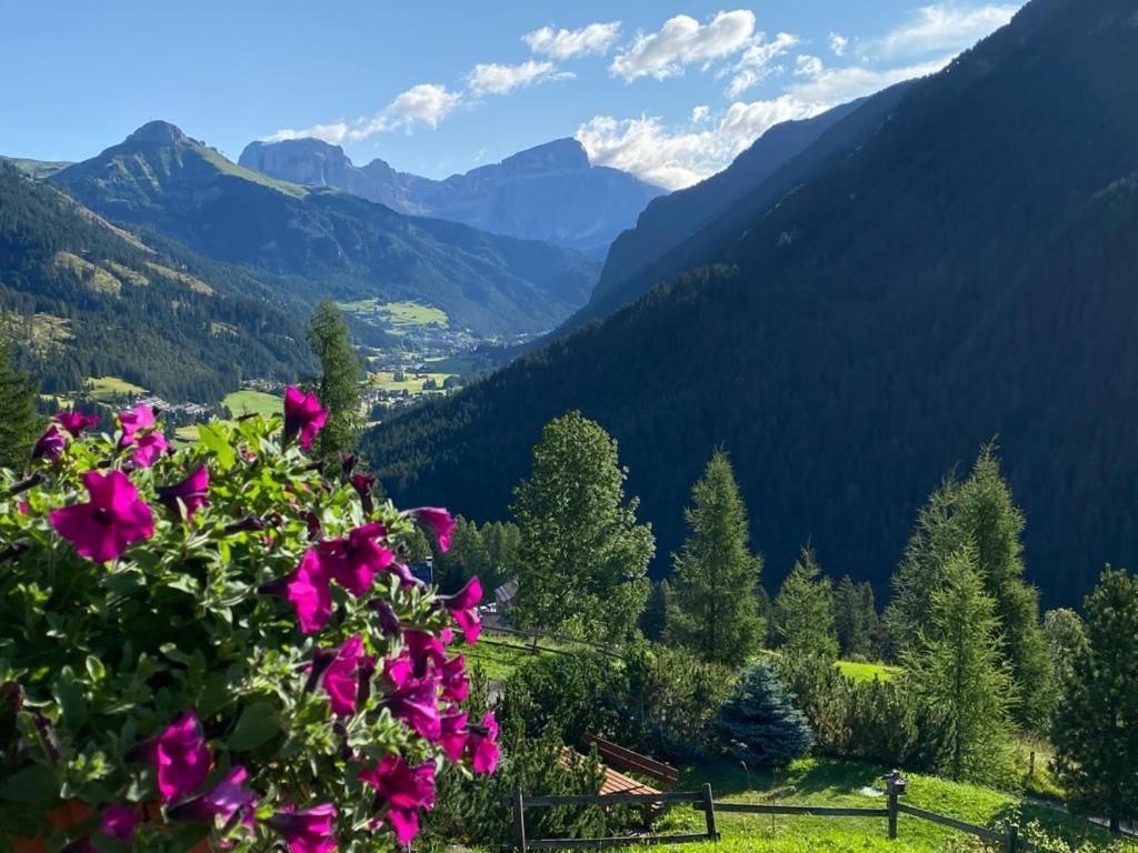 Chalet Relax Поцца-ди-Фасса Экстерьер фото