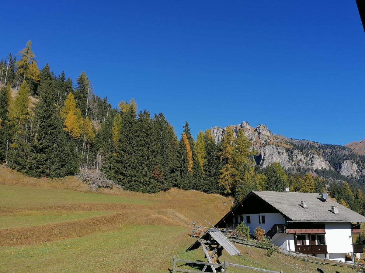 Chalet Relax Поцца-ди-Фасса Экстерьер фото