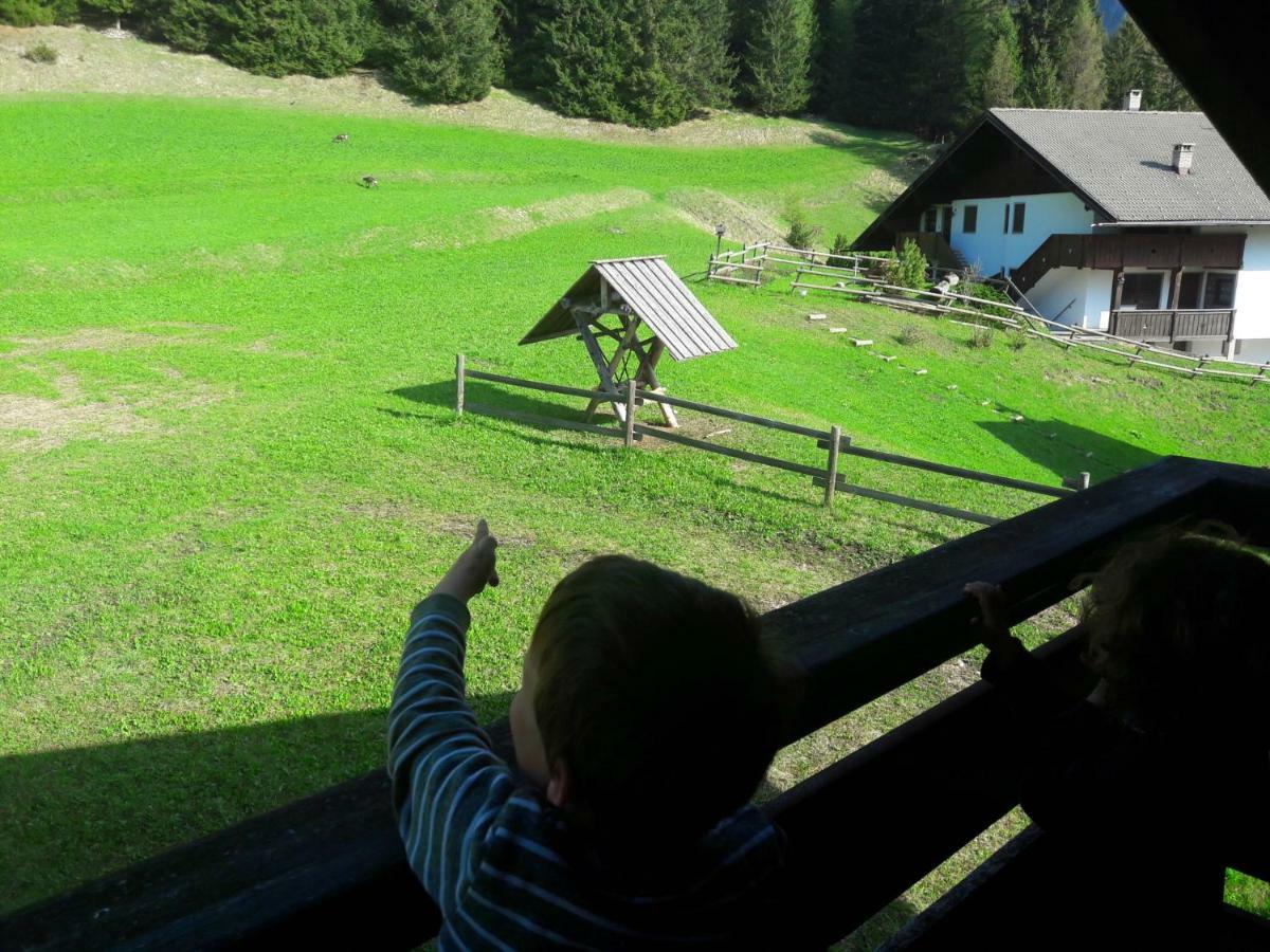 Chalet Relax Поцца-ди-Фасса Экстерьер фото